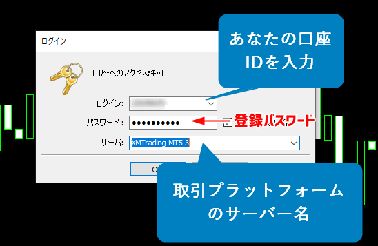 MT5ログイン情報入力