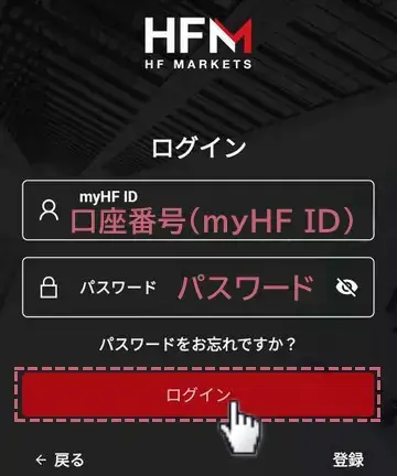 HFMアプリにログインする方法2myHF IDとパスワードを入力しログインをタップ