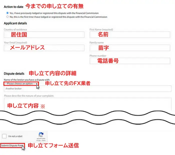 Financial Commissionの専用フォームの記入例